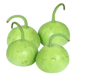 Round Lauki (Gol Kadu)