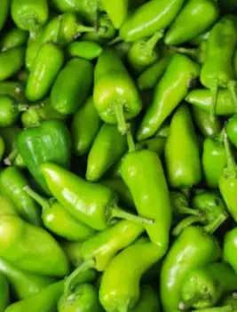 Bullet Chili