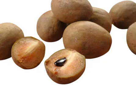 Chikoo 1 Kg