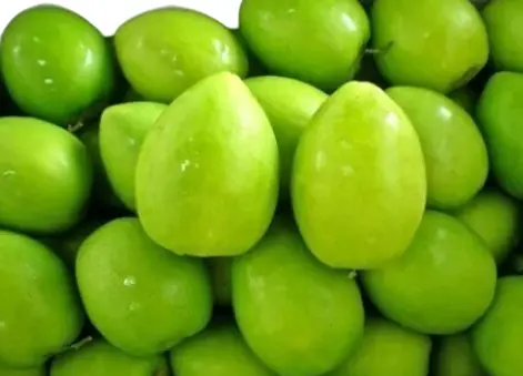Apple Bore (Ber)