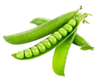 Matar 1 Kg