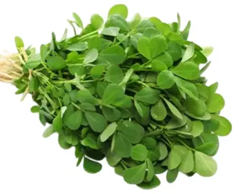 Fresh Methi