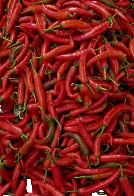 Red Chili (Thai Chilli) 1 Kg