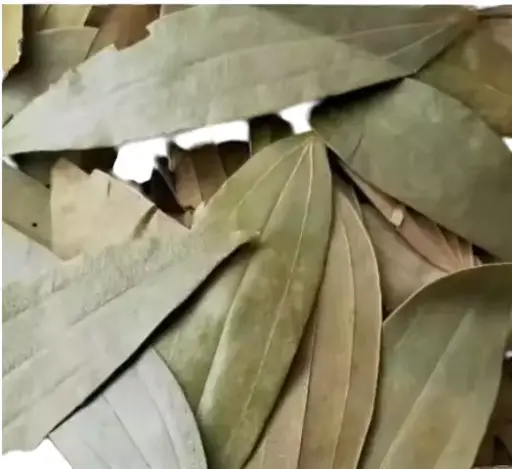 Bay Leaves 500g